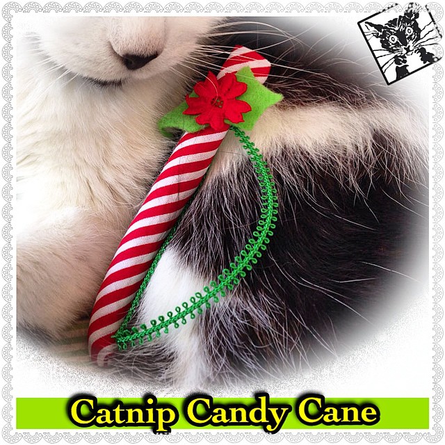 catnip candy cane